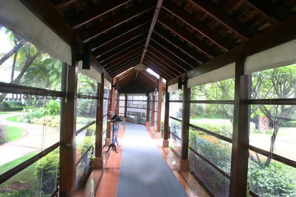 Weather-Resistant Blinds for Rajahmundry